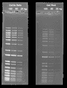Comparison of DNA detection in 1% agarose gel in TBE buffer using Gelite™ Safe and GelRed®. Two-fold serial dilutions of 1 kb DNA ladder were loaded in amounts of 100 ng, 50 ng, and 25 ng from left to right. Gels were stained for 60 minutes with Gelite™ Safe and GelRed™ (Biotium) according to the manufacturer's recommended concentrations and imaged using the ChemiDoc™ Imaging System (Bio-Rad®). Gels were illuminated using a 300 nm transilluminator fitted with an EtBr filter set.