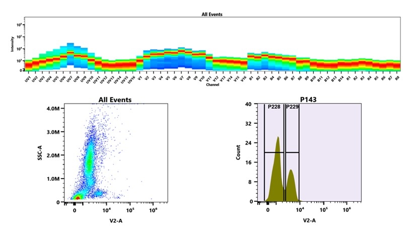 (Top) Spectral emission profiles generated using four spatially offset lasers (355 nm, 405 nm, 488 nm, and 640 nm). Each laser produced a distinct emission pattern, and their combination yielded the composite spectral signature. (Bottom) Flow cytometry analysis of whole blood stained with iFluor® 405 Anti-human CD3 Antibody *SK7*. The fluorescence signal was monitored using an Cytek Aurora flow cytometer in the specific V2-A channel.