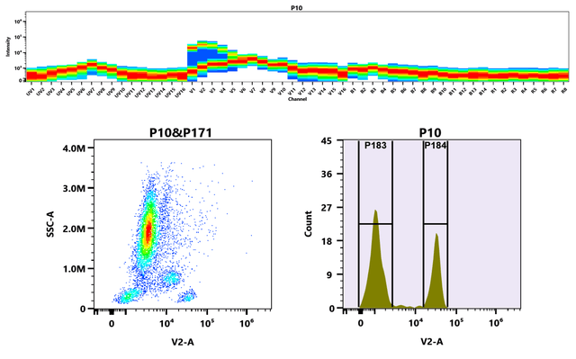 Top) The Spectral pattern was generated using a 4-laser spectral cytometer. Four spatially offset lasers (355 nm, 405 nm, 488 nm, and 640 nm) were used to create four distinct emission profiles, which, when combined, yielded the overall spectral signature. Bottom) Flow cytometry analysis of whole blood stained with iFluor® 405 anti-human CD4 *SK3* conjugate. The fluorescence signal was monitored using an Aurora spectral flow cytometer in the iFluor® 405 V2-A channel.