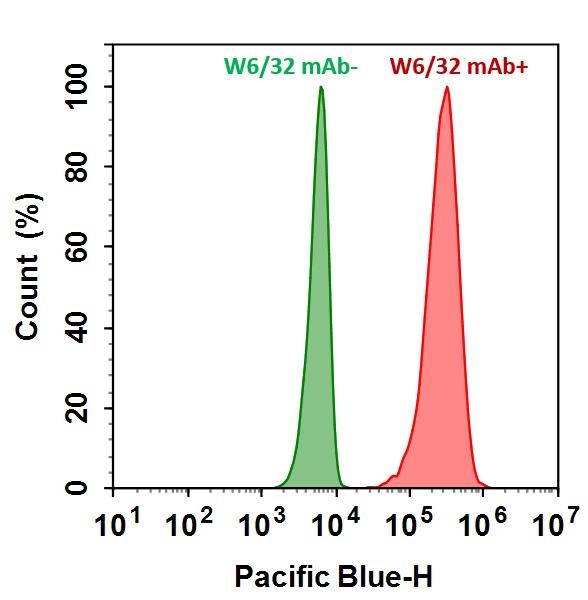 <p>HL-60 cells were incubated with (Red, +) or without (Green, -) Anti-human HLA-ABC (W6/32 mAb), followed by iFluor® 405 goat anti-mouse IgG (H&L). The fluorescence signal was monitored using ACEA NovoCyte flow cytometer in the Pacific Blue channel (Ex/Em=405/445 nm). </p>