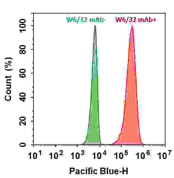 HL-60 cells were incubated with (Red, +) or without (Green, -) Anti-human HLA-ABC (W6/32 mAb), followed by iFluor™ 405 goat anti-mouse IgG (H&L). The fluorescence signal was monitored using ACEA NovoCyte flow cytometer in the Pacific Blue channel (Ex/Em=405/445 nm). 