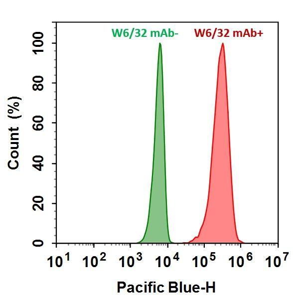 HL-60 cells were incubated with (Red, +) or without (Green, -) Anti-human HLA-ABC (W6/32 mAb), followed by iFluor® 405 goat anti-mouse IgG (H&amp;L). The fluorescence signal was monitored using ACEA NovoCyte flow cytometer in the Pacific Blue channel (Ex/Em=405/445 nm).