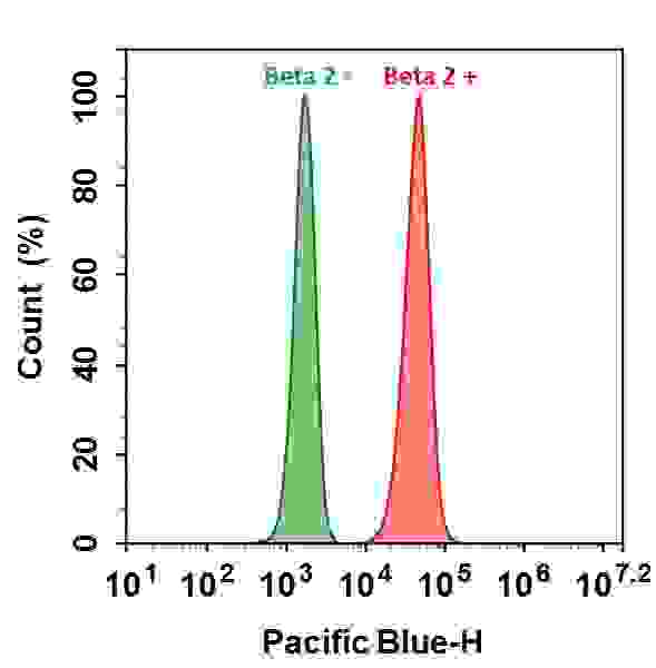HL-60 cells were incubated with (Red, +) or without (Green, -) Anti-beta 2 rabbit antibody (Beta 2), followed by iFluor™ 405 goat anti-rabbit IgG conjugate. The fluorescence signal was monitored using ACEA NovoCyte flow cytometer in Pacific Blue channel. 
