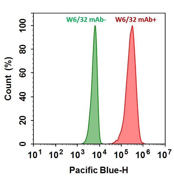 HL-60 cells were incubated with (Red, +) or without (Green, -) Anti-human HLA-ABC (W6/32 mAb), followed by iFluor® 405 goat anti-mouse IgG (H&L). The fluorescence signal was monitored using ACEA NovoCyte flow cytometer in the Pacific Blue channel (Ex/Em=405/445 nm). 