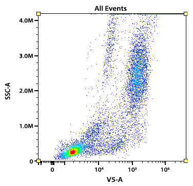 Flow cytometry analysis of whole blood cells stained with iFluor® 430 anti-human CD16 antibody (Clone: 3G8). The fluorescence signal was monitored using an Aurora spectral flow cytometer in the iFluor® 430 specific V5-A channel.