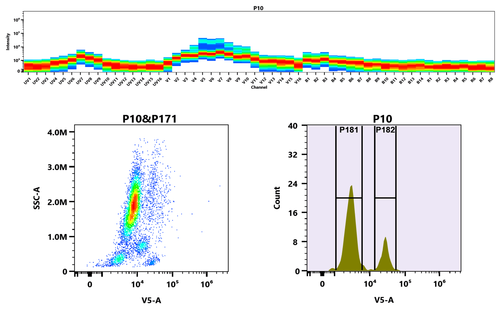 Top) The Spectral pattern was generated using a 4-laser spectral cytometer. Four spatially offset lasers (355 nm, 405 nm, 488 nm, and 640 nm) were used to create four distinct emission profiles, which, when combined, yielded the overall spectral signature. Bottom) Flow cytometry analysis of whole blood stained with iFluor® 430 anti-human CD4 *SK3* conjugate. The fluorescence signal was monitored using an Aurora spectral flow cytometer in the iFluor® 430 V5-A channel.