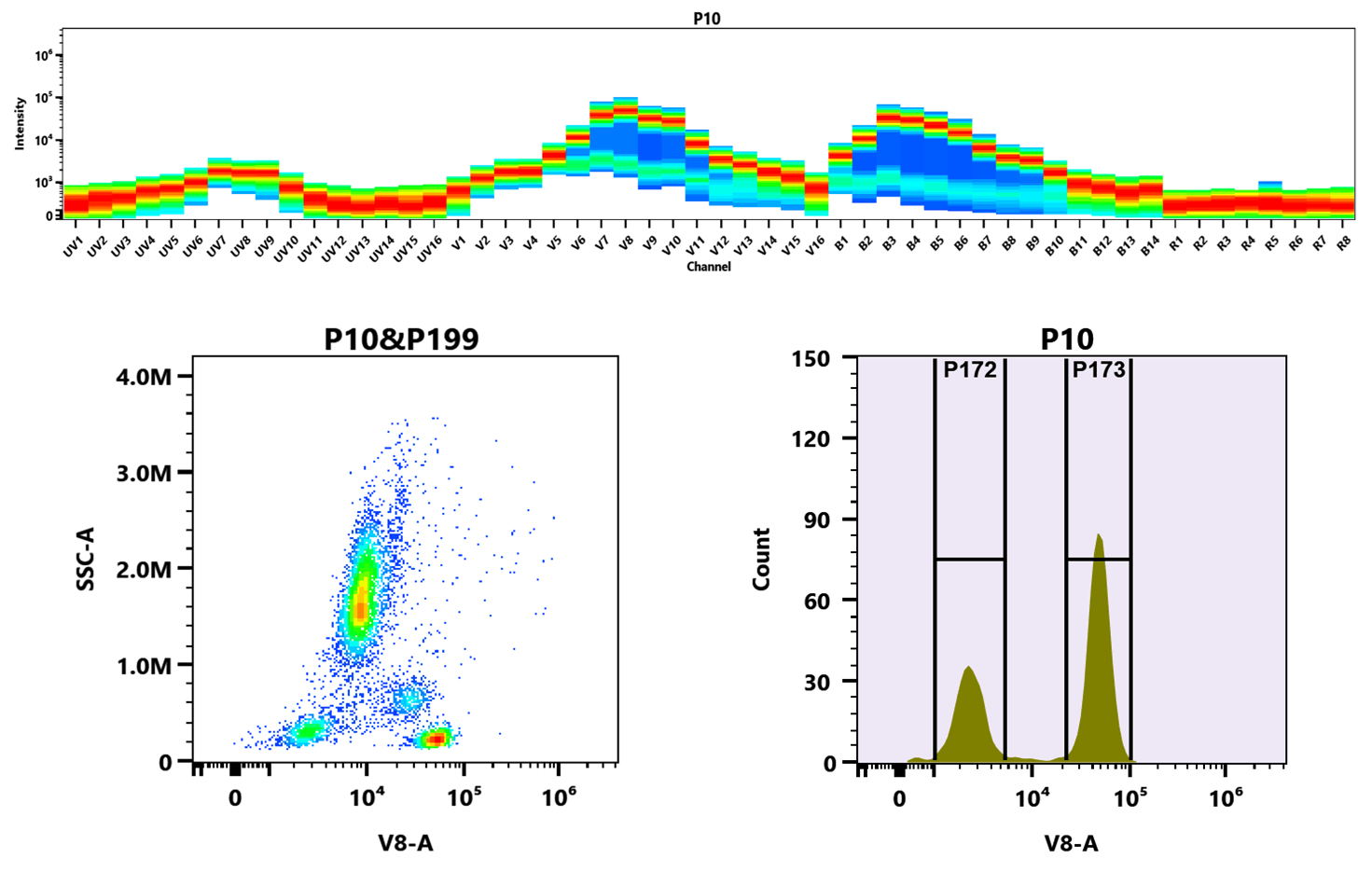 (Top) Spectral emission profiles generated using four spatially offset lasers (355 nm, 405 nm, 488 nm, and 640 nm). Each laser produced a distinct emission pattern, and their combination yielded the composite spectral signature.
(Bottom) Flow cytometry analysis of whole blood stained with iFluor® 445 Anti-human CD4 Antibody (Clone: SK3). The fluorescence signal was monitored using a Cytek Aurora spectral flow cytometer in the iFluor® 445-specific V8-A channel.