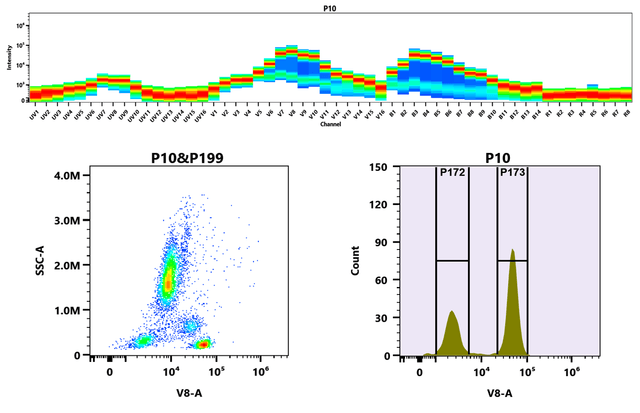 Flow cytometry analysis of whole blood cells stained with iFluor® 445 anti-human CD4 antibody (Clone: SK3). The fluorescence signal was monitored using an Aurora spectral flow cytometer in the iFluor® 445 specific V8-A channel.