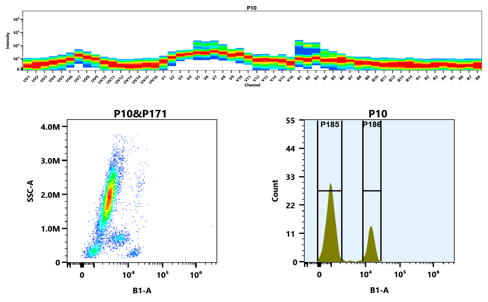 Top) The Spectral pattern was generated using a 4-laser spectral cytometer. Four spatially offset lasers (355 nm, 405 nm, 488 nm, and 640 nm) were used to create four distinct emission profiles, which, when combined, yielded the overall spectral signature. Bottom) Flow cytometry analysis of whole blood stained with iFluor® 450 anti-human CD4 *SK3* conjugate. The fluorescence signal was monitored using an Aurora spectral flow cytometer in the iFluor® 450 B1-A channel.