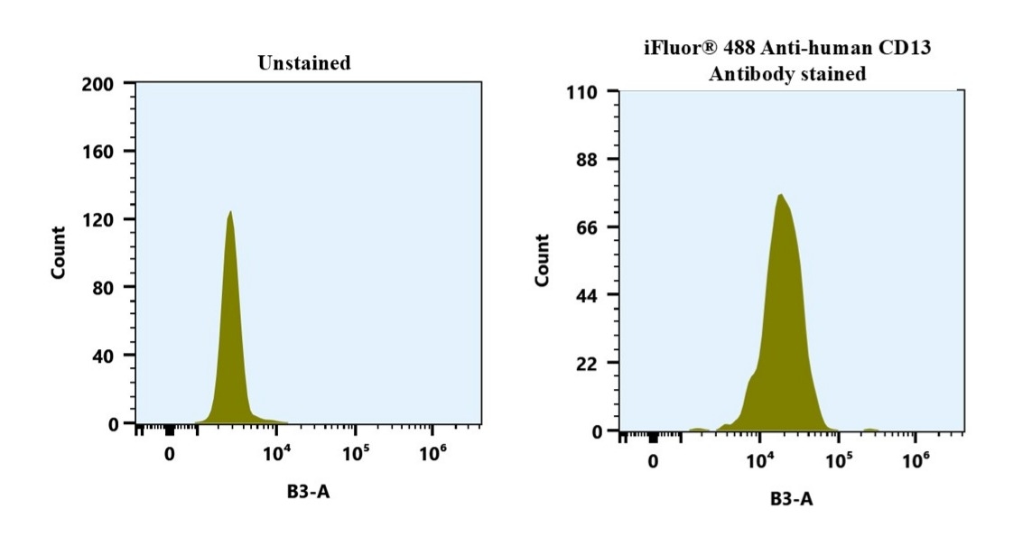 Flow cytometry analysis of human whole blood stained with iFluor® 488 Anti-human CD13 Antibody (WM15) (Cat. #10130050). The fluorescence signal was monitored on a Cytek Aurora spectral flow cytometer in the B3-A channel, demonstrating clear detection of CD27⁺ cells.