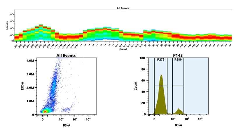 (Top) Spectral emission profiles generated using four spatially offset lasers (355 nm, 405 nm, 488 nm, and 640 nm). Each laser produced a distinct emission pattern, and their combination yielded the composite spectral signature. (Bottom) Flow cytometry analysis of whole blood stained with iFluor® 514 Anti-human CD19 Antibody (HIB19). The fluorescence signal was monitored using an Cytek Aurora flow cytometer in the specific B3-A channel.