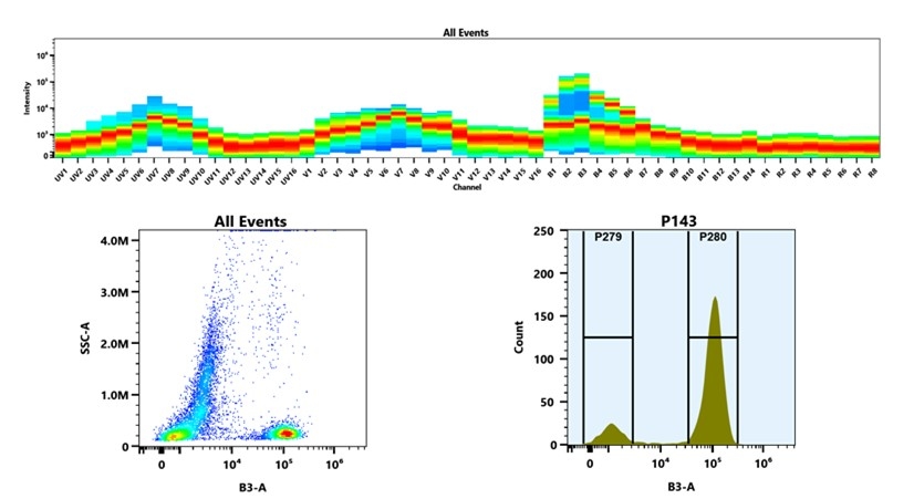 (Top) Spectral emission profiles generated using four spatially offset lasers (355 nm, 405 nm, 488 nm, and 640 nm). Each laser produced a distinct emission pattern, and their combination yielded the composite spectral signature. (Bottom) Flow cytometry analysis of whole blood stained with iFluor® 514 Anti-human CD3 Antibody *UCHT1*. The fluorescence signal was monitored using an Cytek Aurora flow cytometer in the specific B3-A channel.