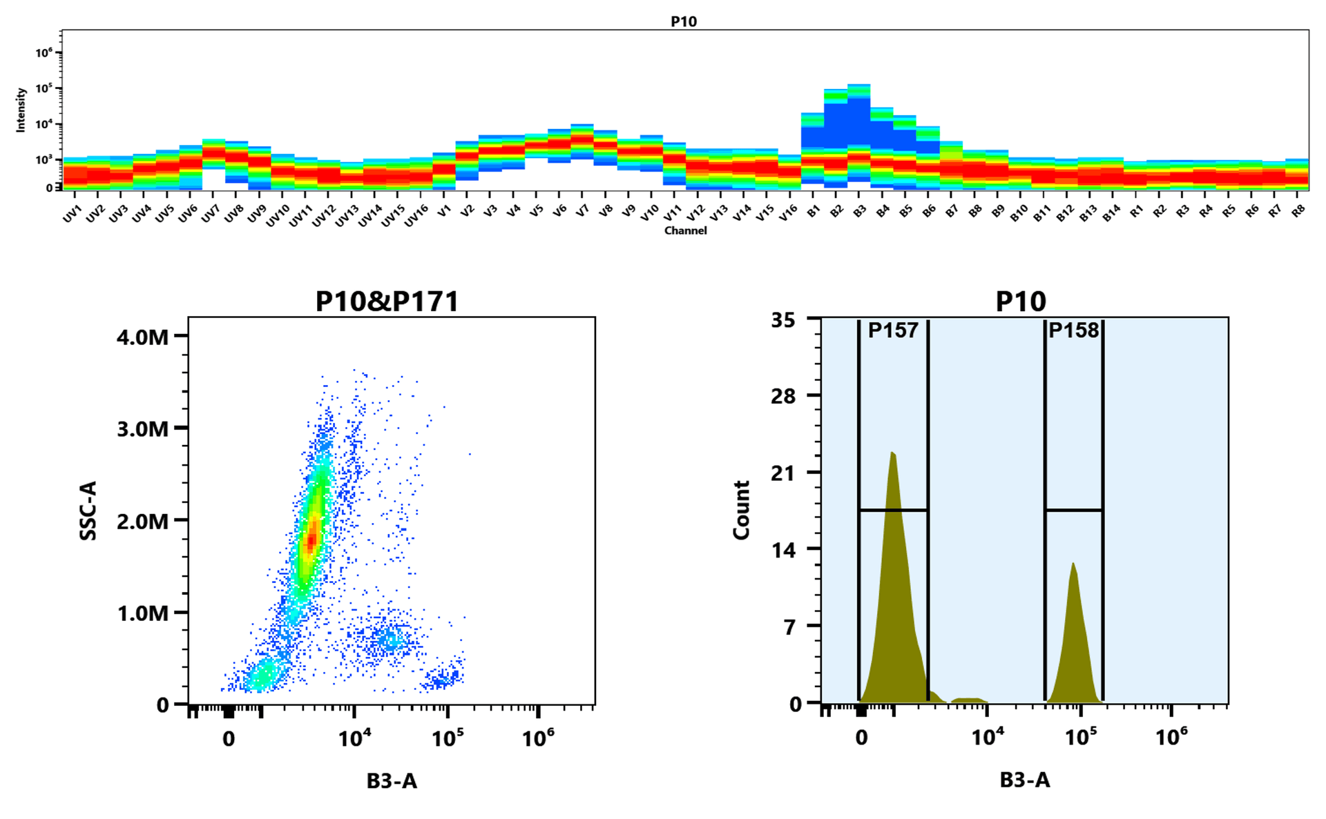 Top) The Spectral pattern was generated using a 4-laser spectral cytometer. Four spatially offset lasers (355 nm, 405 nm, 488 nm, and 640 nm) were used to create four distinct emission profiles, which, when combined, yielded the overall spectral signature. Bottom) Flow cytometry analysis of whole blood stained with iFluor® 514 anti-human CD4 *SK3* conjugate. The fluorescence signal was monitored using an Aurora spectral flow cytometer in the iFluor® 514 B3-A channel.