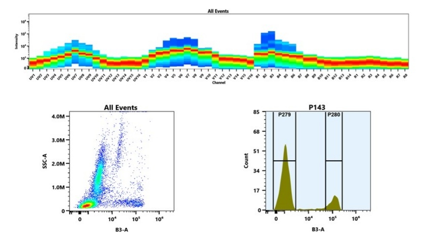 (Top) Spectral emission profiles generated using four spatially offset lasers (355 nm, 405 nm, 488 nm, and 640 nm). Each laser produced a distinct emission pattern, and their combination yielded the composite spectral signature. (Bottom) Flow cytometry analysis of whole blood stained with iFluor® 514 Anti-human CD8 Antibody *SK1*. The fluorescence signal was monitored using an Aurora spectral flow cytometer in the specific B3-A channel.