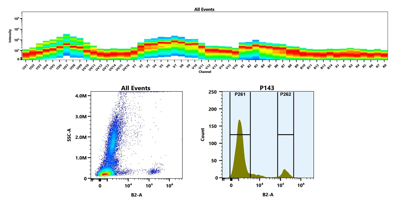 (Top) Spectral emission profiles generated using four spatially offset lasers (355 nm, 405 nm, 488 nm, and 640 nm). Each laser produced a distinct emission pattern, and their combination yielded the composite spectral signature. (Bottom) Flow cytometry analysis of human whole blood stained with iFluor® 514 Anti-human/monkey CD20 Antibody (2H7) (Cat. #10202060). The fluorescence signal was monitored on a Cytek Aurora spectral flow cytometer in the B2-A channel, demonstrating clear detection of CD20⁺ cells.
