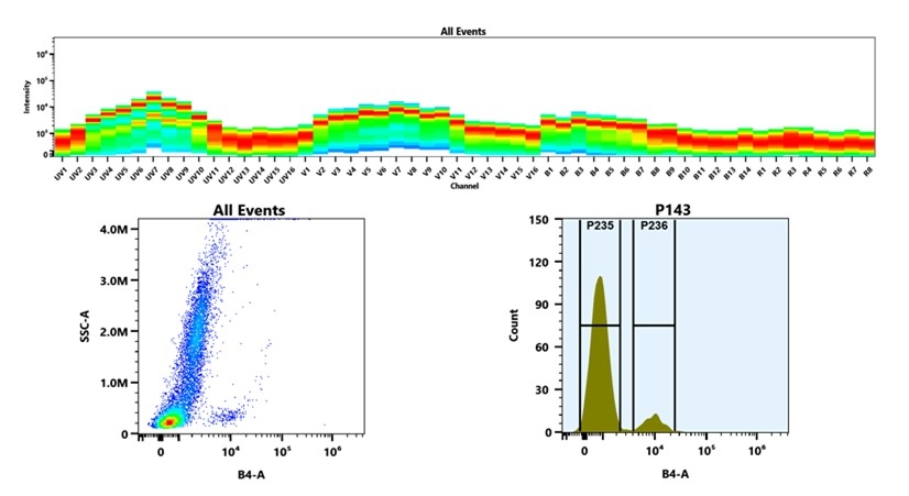 (Top) Spectral emission profiles generated using four spatially offset lasers (355 nm, 405 nm, 488 nm, and 640 nm). Each laser produced a distinct emission pattern, and their combination yielded the composite spectral signature. (Bottom) Flow cytometry analysis of whole blood stained with iFluor® 532 Anti-human CD19 Antibody (HIB19). The fluorescence signal was monitored using an Cytek Aurora flow cytometer in the specific B4-A channel.