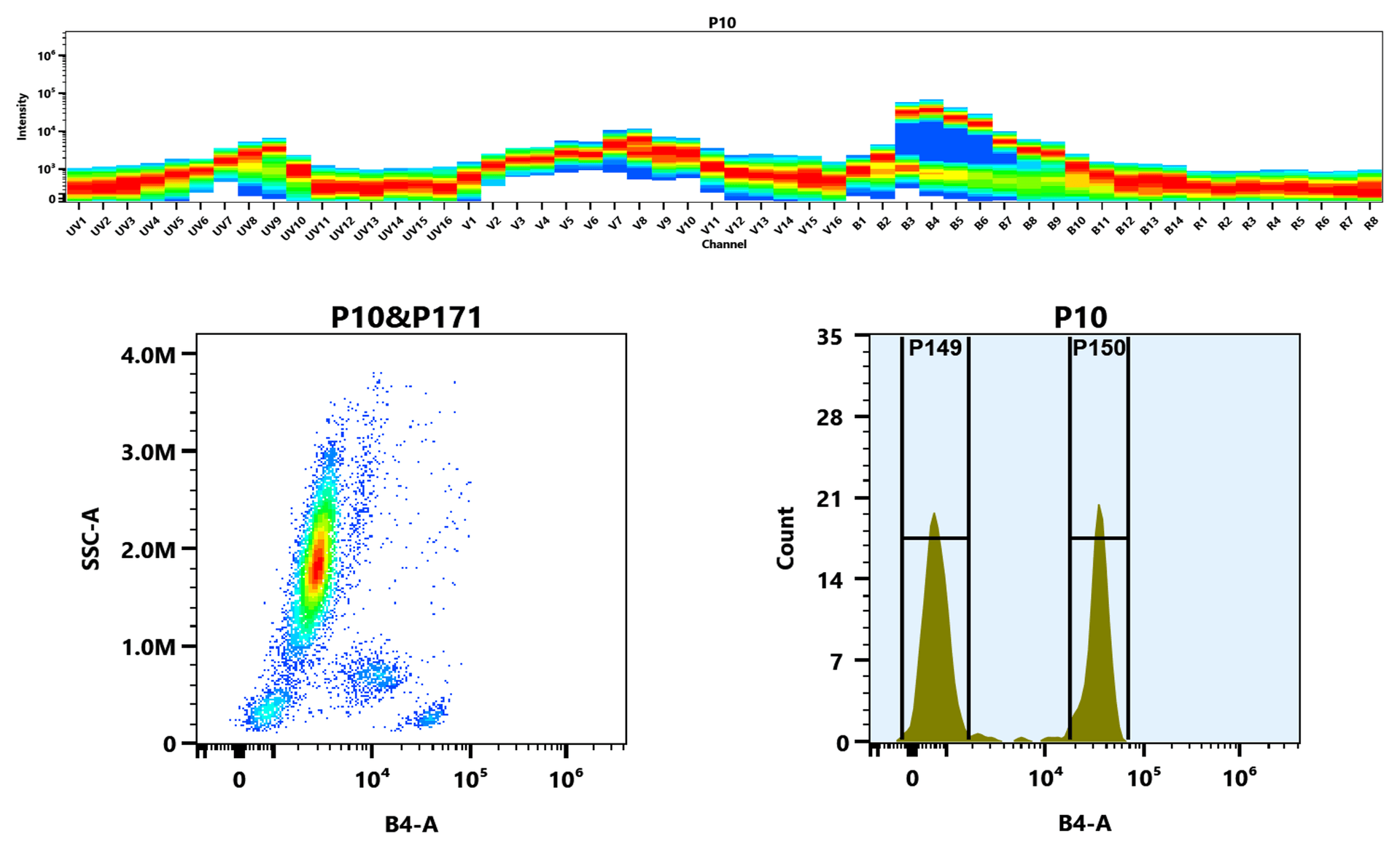 Top) The Spectral pattern was generated using a 4-laser spectral cytometer. Four spatially offset lasers (355 nm, 405 nm, 488 nm, and 640 nm) were used to create four distinct emission profiles, which, when combined, yielded the overall spectral signature. Bottom) Flow cytometry analysis of whole blood stained with iFluor® 532 anti-human CD4 *SK3* conjugate. The fluorescence signal was monitored using an Aurora spectral flow cytometer in the iFluor® 532 B4-A channel.