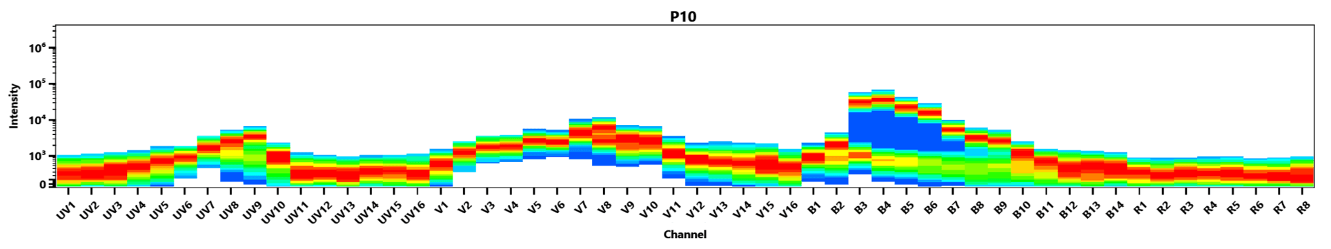 Spectral signature of iFluor® 532 dye. Data acquired on a 4-laser Cytek Aurora and normal human peripheral blood cells stained with clone SK3 (CD4) conjugated to iFluor® 532 dye (Cat. No. 10042070) were used for analysis.