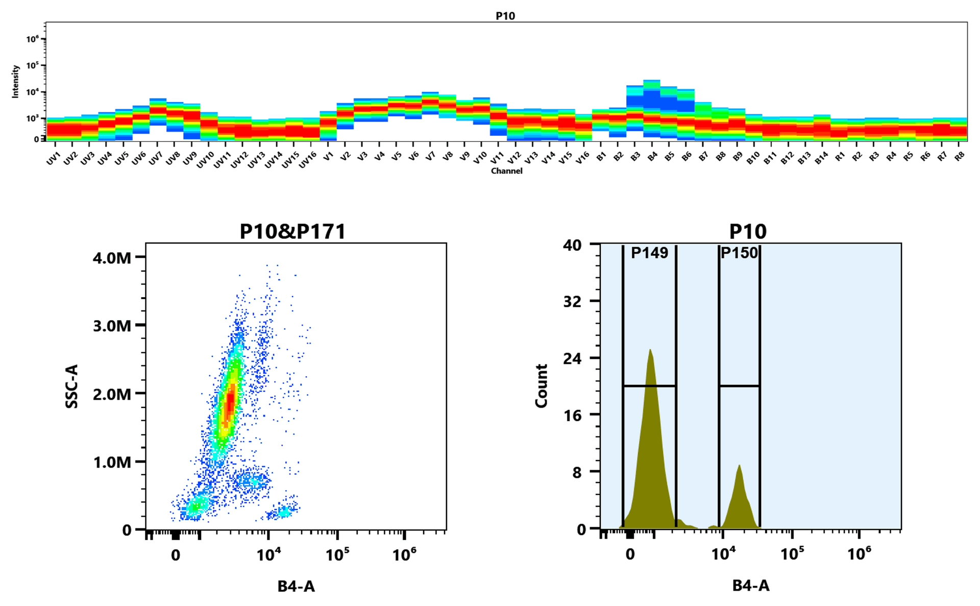 Top) The Spectral pattern was generated using a 4-laser spectral cytometer. Four spatially offset lasers (355 nm, 405 nm, 488 nm, and 640 nm) were used to create four distinct emission profiles, which, when combined, yielded the overall spectral signature. Bottom) Flow cytometry analysis of whole blood stained with iFluor® 546 anti-human CD4 *SK3* conjugate. The fluorescence signal was monitored using an Aurora spectral flow cytometer in the iFluor® 546 B4-A channel.