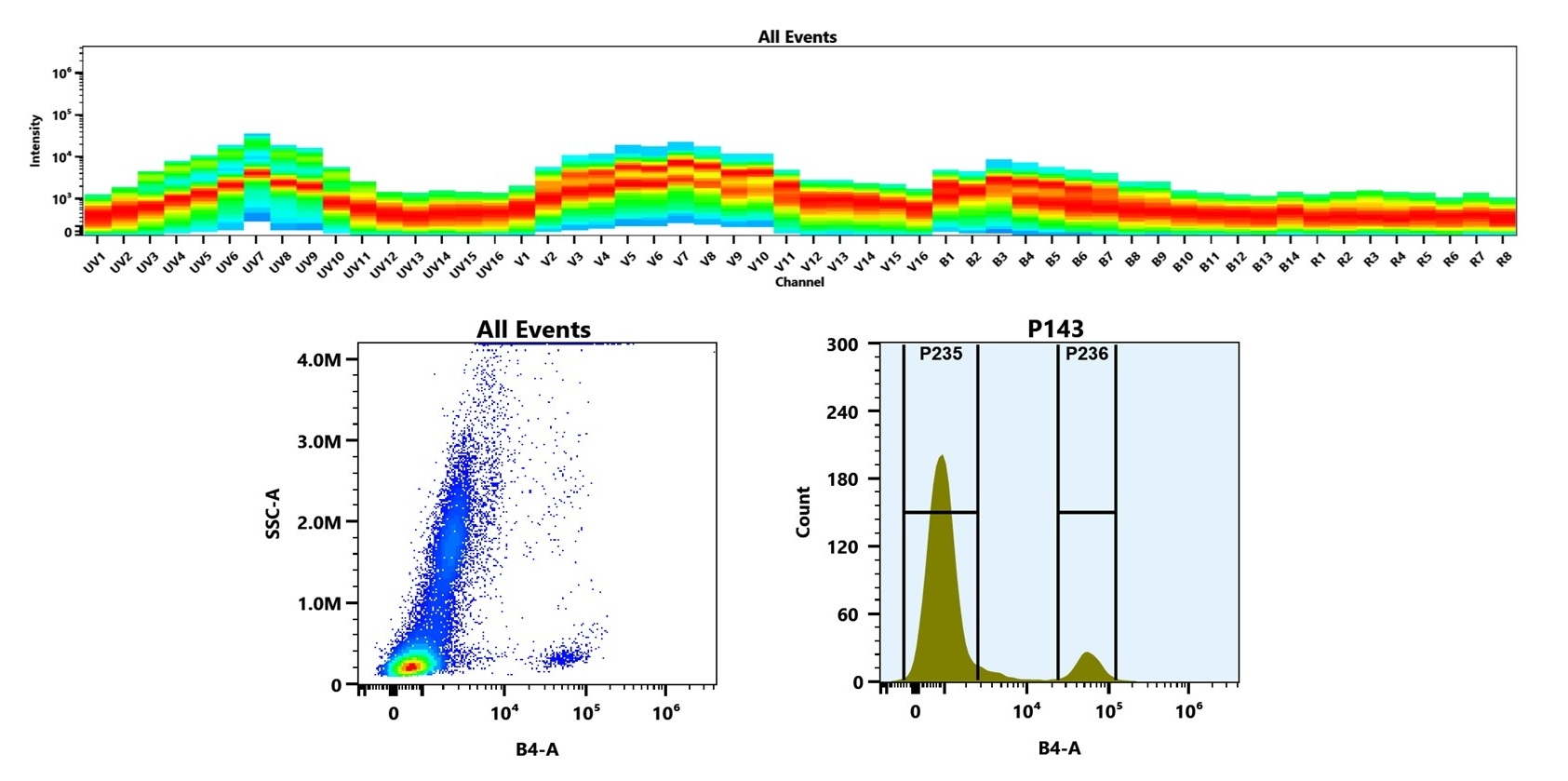 (Top) Spectral emission profiles generated using four spatially offset lasers (355 nm, 405 nm, 488 nm, and 640 nm). Each laser produced a distinct emission pattern, and their combination yielded the composite spectral signature. (Bottom) Flow cytometry analysis of human whole blood stained with iFluor® 546 Anti-human/monkey CD20 Antibody (2H7) (Cat. #10202080). The fluorescence signal was monitored on a Cytek Aurora spectral flow cytometer in the B4-A channel, demonstrating clear detection of CD20⁺ cells.