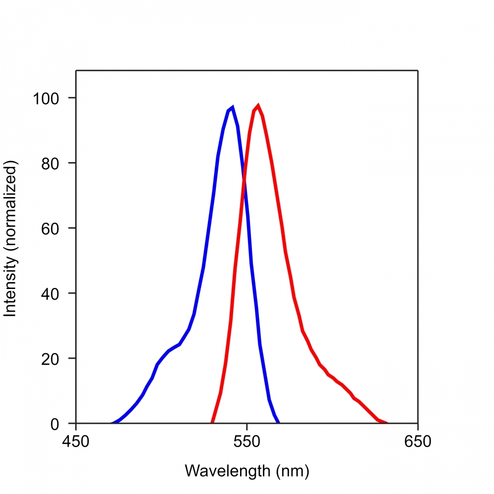 <p>The excitation and emission spectra of iFluor<sup>TM </sup>546. </p>