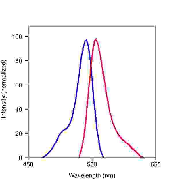 The excitation and emission spectra of iFluor<sup>TM </sup>546. 