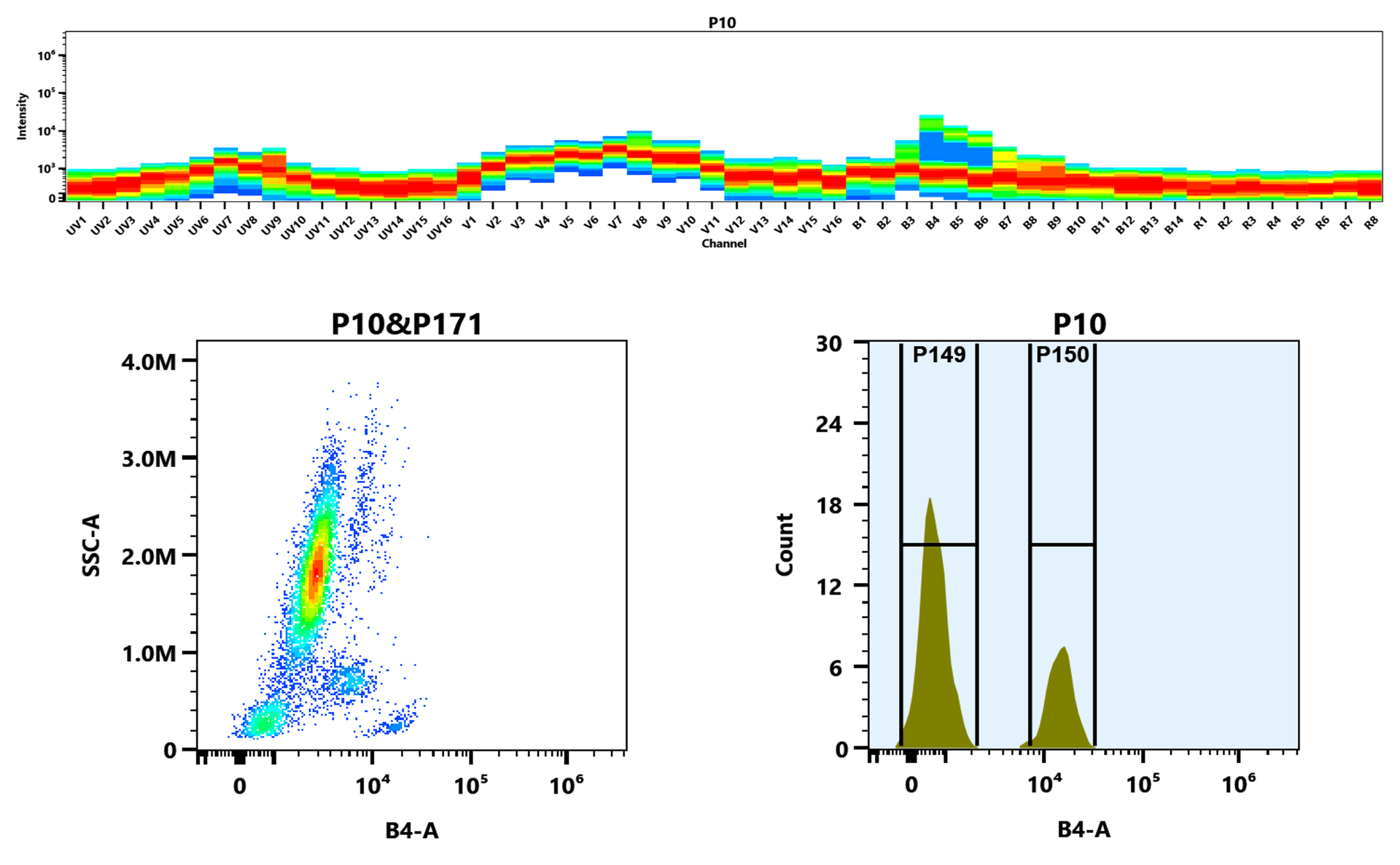 Top) The Spectral pattern was generated using a 4-laser spectral cytometer. Four spatially offset lasers (355 nm, 405 nm, 488 nm, and 640 nm) were used to create four distinct emission profiles, which, when combined, yielded the overall spectral signature. Bottom) Flow cytometry analysis of whole blood stained with iFluor® 555 anti-human CD4 *SK3* conjugate. The fluorescence signal was monitored using an Aurora spectral flow cytometer in the iFluor® 555 B4-A channel.