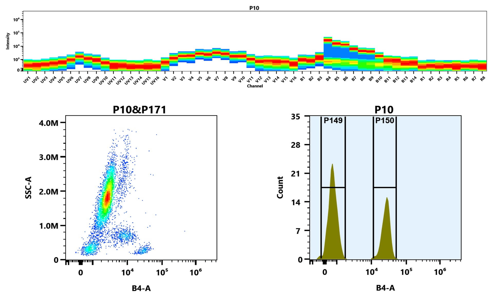 Top) The Spectral pattern was generated using a 4-laser spectral cytometer. Four spatially offset lasers (355 nm, 405 nm, 488 nm, and 640 nm) were used to create four distinct emission profiles, which, when combined, yielded the overall spectral signature. Bottom) Flow cytometry analysis of whole blood stained with iFluor® 560 anti-human CD4 *SK3* conjugate. The fluorescence signal was monitored using an Aurora spectral flow cytometer in the iFluor® 560 B4-A channel.
