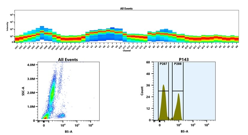 (Top) Spectral emission profiles generated using four spatially offset lasers (355 nm, 405 nm, 488 nm, and 640 nm). Each laser produced a distinct emission pattern, and their combination yielded the composite spectral signature. (Bottom) Flow cytometry analysis of whole blood stained with iFluor® 568 Anti-human CD3 Antibody *HIT3a*. The fluorescence signal was monitored using an Cytek Aurora flow cytometer in the specific B5-A channel.