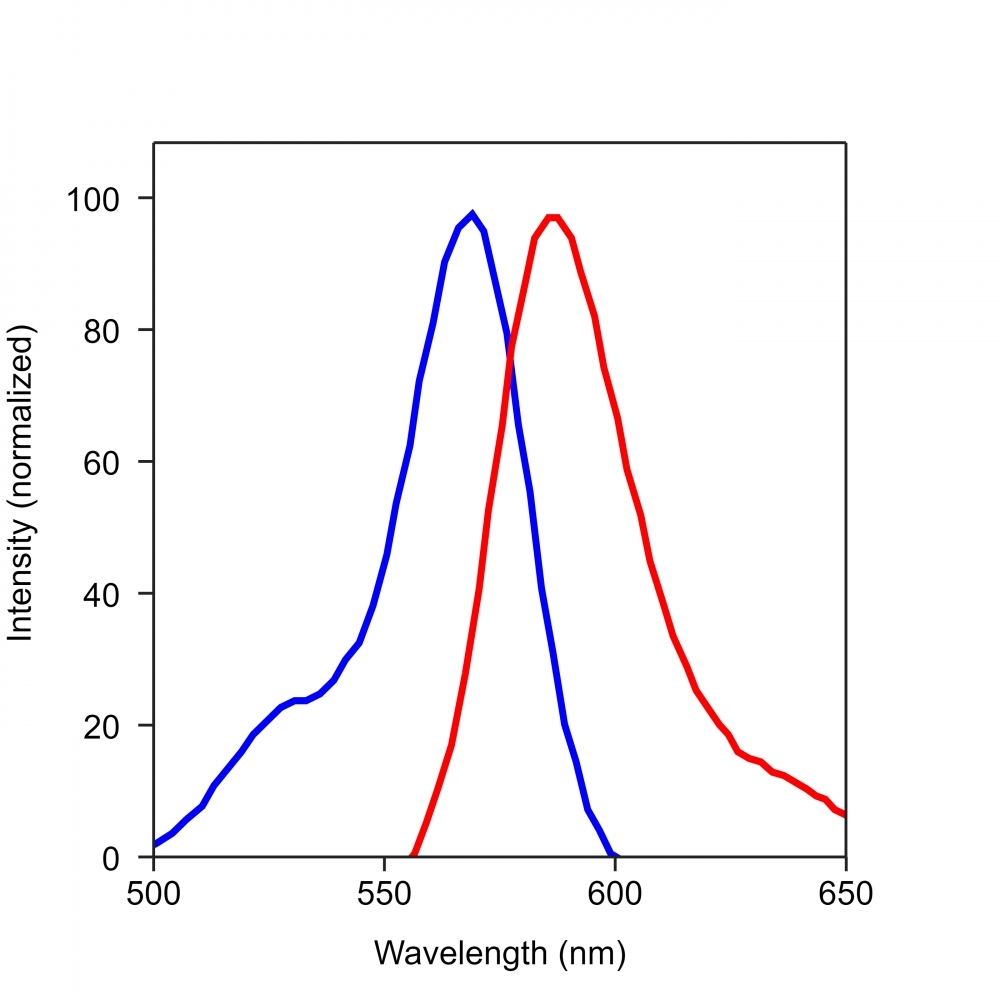 <p>The excitation and emission spectra of iFluor<sup>TM</sup> 568. </p>