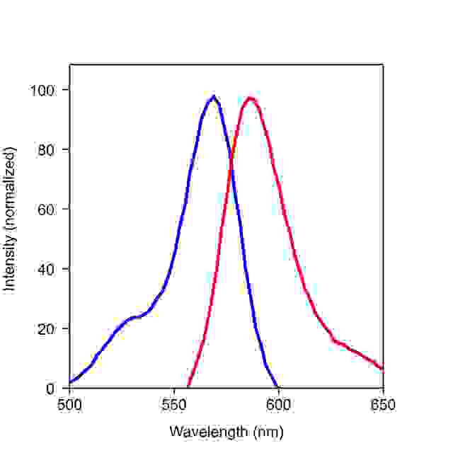 The excitation and emission spectra of iFluor<sup>TM</sup> 568. 