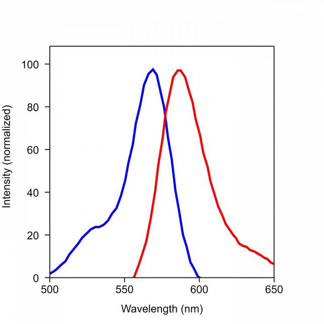 The excitation and emission spectra of&nbsp;iFluor<sup>TM</sup> 568.&nbsp;