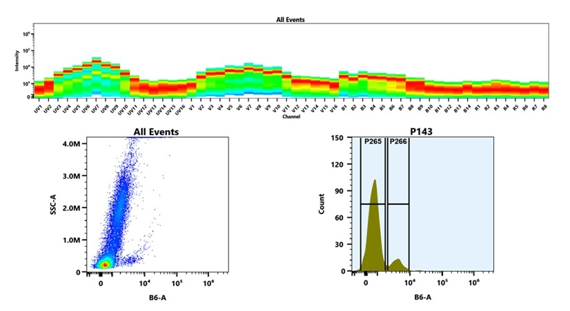 (Top) Spectral emission profiles generated using four spatially offset lasers (355 nm, 405 nm, 488 nm, and 640 nm). Each laser produced a distinct emission pattern, and their combination yielded the composite spectral signature. (Bottom) Flow cytometry analysis of whole blood stained with iFluor® 594 Anti-human CD19 Antibody (HIB19). The fluorescence signal was monitored using an Cytek Aurora flow cytometer in the specific B6-A channel.