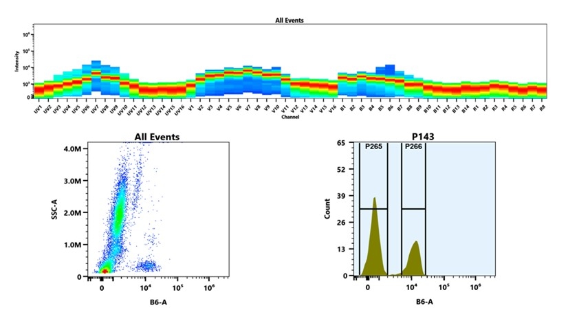 (Top) Spectral emission profiles generated using four spatially offset lasers (355 nm, 405 nm, 488 nm, and 640 nm). Each laser produced a distinct emission pattern, and their combination yielded the composite spectral signature. (Bottom) Flow cytometry analysis of whole blood stained with iFluor® 594 Anti-human CD3 Antibody *UCHT1*. The fluorescence signal was monitored using an Cytek Aurora flow cytometer in the specific B6-A channel.