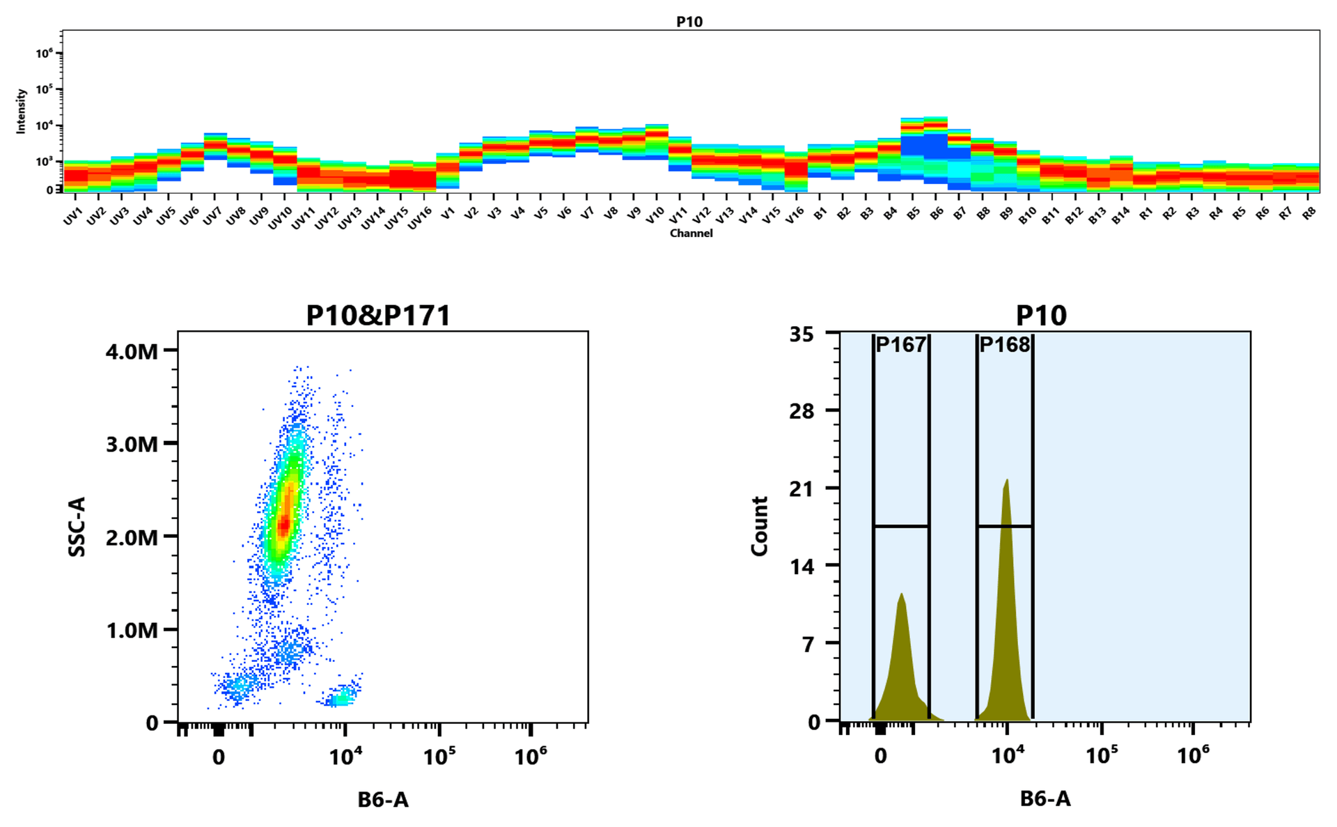 Top) The Spectral pattern was generated using a 4-laser spectral cytometer. Four spatially offset lasers (355 nm, 405 nm, 488 nm, and 640 nm) were used to create four distinct emission profiles, which, when combined, yielded the overall spectral signature. Bottom) Flow cytometry analysis of whole blood stained with iFluor® 594 anti-human CD4 *SK3* conjugate. The fluorescence signal was monitored using an Aurora spectral flow cytometer in the iFluor® 594 B6-A channel.