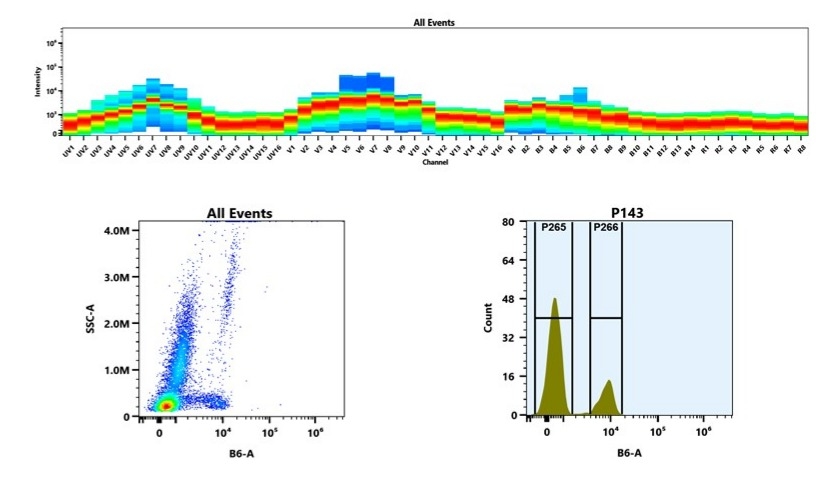 (Top) Spectral emission profiles generated using four spatially offset lasers (355 nm, 405 nm, 488 nm, and 640 nm). Each laser produced a distinct emission pattern, and their combination yielded the composite spectral signature. (Bottom) Flow cytometry analysis of whole blood stained with mFluor™ iFluor® 594 Anti-human CD8 Antibody *SK1*. The fluorescence signal was monitored using an Aurora spectral flow cytometer in the specific B6-A channel.