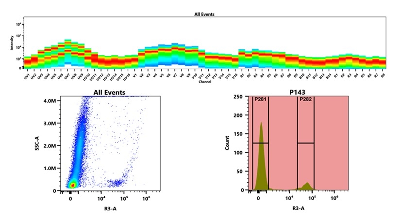 (Top) Spectral emission profiles generated using four spatially offset lasers (355 nm, 405 nm, 488 nm, and 640 nm). Each laser produced a distinct emission pattern, and their combination yielded the composite spectral signature. (Bottom) Flow cytometry analysis of whole blood stained with iFluor® 647 Anti-human CD19 Antibody (HIB19). The fluorescence signal was monitored using an Cytek Aurora flow cytometer in the specific R3-A channel.