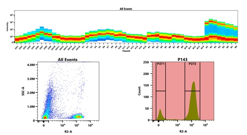 (Top) Spectral emission profiles generated using four spatially offset lasers (355 nm, 405 nm, 488 nm, and 640 nm). Each laser produced a distinct emission pattern, and their combination yielded the composite spectral signature. (Bottom) Flow cytometry analysis of whole blood stained with iFluor® 647 Anti-human CD3 Antibody *HIT3a*. The fluorescence signal was monitored using an Cytek Aurora flow cytometer in the specific R2-A channel.