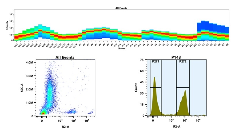(Top) Spectral emission profiles generated using four spatially offset lasers (355 nm, 405 nm, 488 nm, and 640 nm). Each laser produced a distinct emission pattern, and their combination yielded the composite spectral signature. (Bottom) Flow cytometry analysis of whole blood stained with iFluor® 647 Anti-human CD3 Antibody *SK7*. The fluorescence signal was monitored using an Cytek Aurora flow cytometer in the specific R2-A channel.