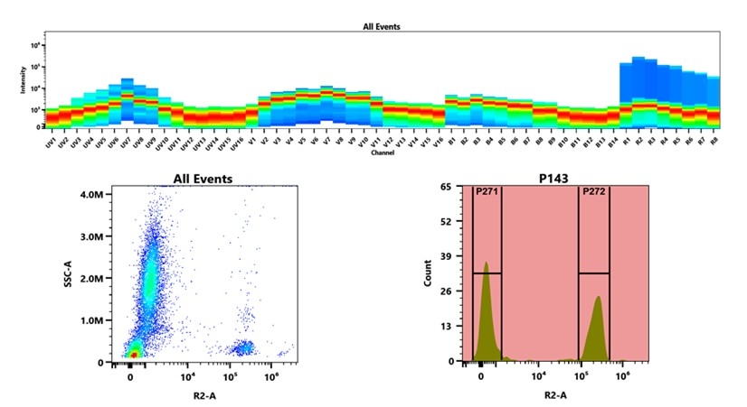 (Top) Spectral emission profiles generated using four spatially offset lasers (355 nm, 405 nm, 488 nm, and 640 nm). Each laser produced a distinct emission pattern, and their combination yielded the composite spectral signature. (Bottom) Flow cytometry analysis of whole blood stained with iFluor® 647 Anti-human CD3 Antibody *UCHT1*. The fluorescence signal was monitored using an Cytek Aurora flow cytometer in the specific R2-A channel.