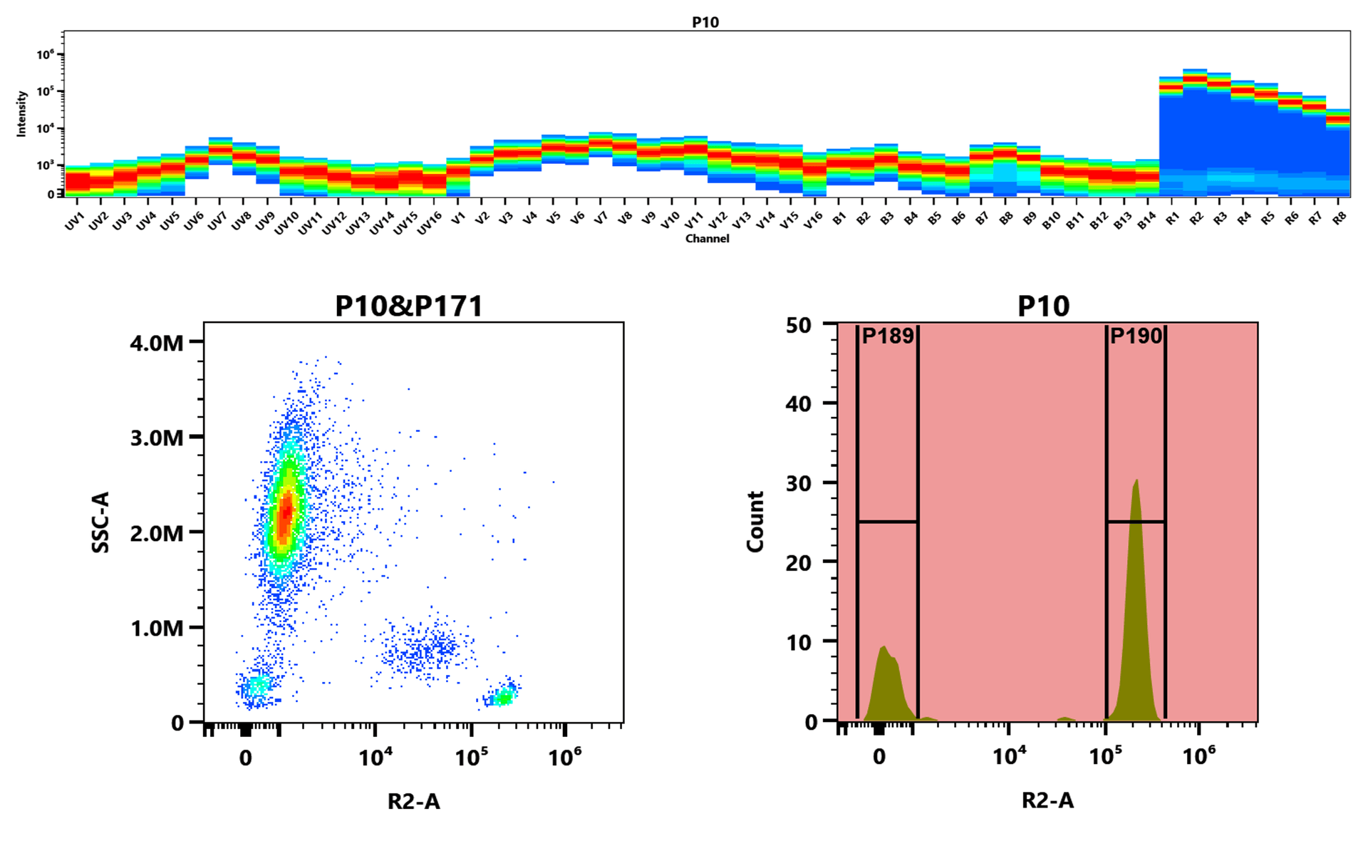 Top) The Spectral pattern was generated using a 4-laser spectral cytometer. Four spatially offset lasers (355 nm, 405 nm, 488 nm, and 640 nm) were used to create four distinct emission profiles, which, when combined, yielded the overall spectral signature. Bottom) Flow cytometry analysis of whole blood stained with iFluor® 647 anti-human CD4 *SK3* conjugate. The fluorescence signal was monitored using an Aurora spectral flow cytometer in the iFluor® 647 R2-A channel.