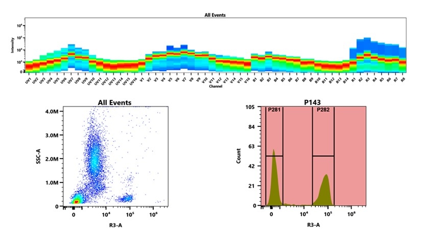 (Top) Spectral emission profiles generated using four spatially offset lasers (355 nm, 405 nm, 488 nm, and 640 nm). Each laser produced a distinct emission pattern, and their combination yielded the composite spectral signature. (Bottom) Flow cytometry analysis of whole blood stained with iFluor® 660 Anti-human CD3 Antibody *UCHT1*. The fluorescence signal was monitored using an Cytek Aurora flow cytometer in the specific R3-A channel.