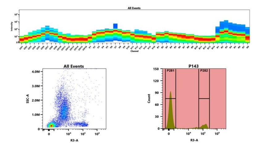 (Top) Spectral pattern was generated using 4 spatially offset lasers (355 nm, 405 nm, 488 nm, and 640 nm) generating four distinct emission profiles, when combined these yielded the overall spectral signature. (Bottom) Flow cytometry analysis of whole blood stained with iFluor® 660 Anti-human CD8 Antibody *SK1*. The fluorescence signal was monitored using an Aurora spectral flow cytometer in the specific R3-A channel.