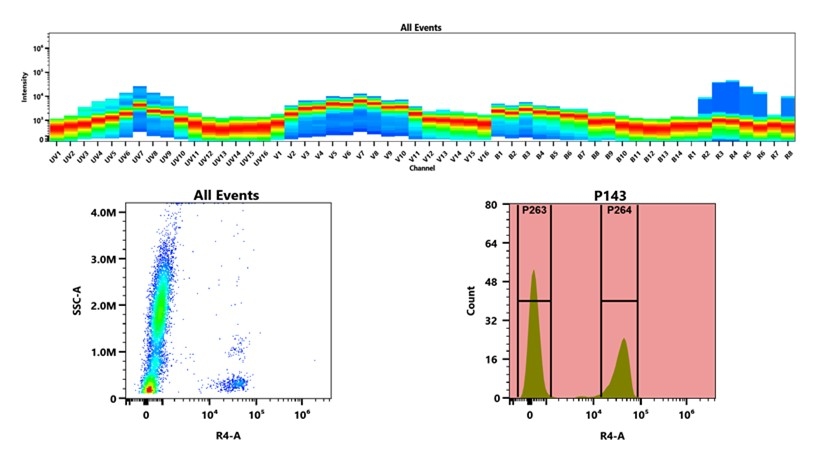 Top) Spectral emission profiles generated using four spatially offset lasers (355 nm, 405 nm, 488 nm, and 640 nm). Each laser produced a distinct emission pattern, and their combination yielded the composite spectral signature. (Bottom) Flow cytometry analysis of whole blood stained with iFluor® 680 Anti-human CD3 Antibody *UCHT1*. The fluorescence signal was monitored using an Cytek Aurora flow cytometer in the specific R4-A channel.