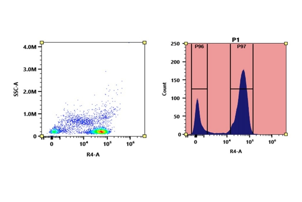 Flow cytometry analysis of PBMC stained with iFluor® 690 anti-human CD3 *SK7* conjugate. The fluorescence signal was monitored using an Aurora spectral flow cytometer in the iFluor® 690 specific R4-A channel.