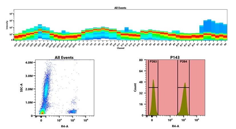 (Top) Spectral emission profiles generated using four spatially offset lasers (355 nm, 405 nm, 488 nm, and 640 nm). Each laser produced a distinct emission pattern, and their combination yielded the composite spectral signature. (Bottom) Flow cytometry analysis of whole blood stained with iFluor® 700 Anti-human CD3 Antibody *UCHT1*. The fluorescence signal was monitored using an Cytek Aurora flow cytometer in the specific R4-A channel.