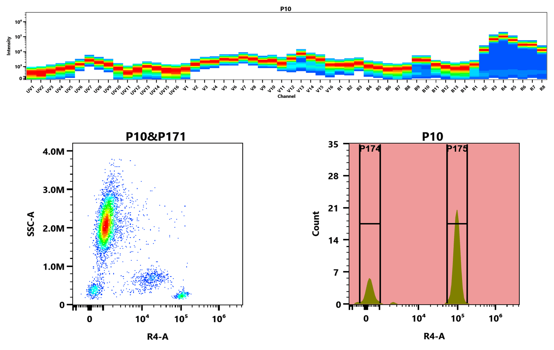 Top) The Spectral pattern was generated using a 4-laser spectral cytometer. Four spatially offset lasers (355 nm, 405 nm, 488 nm, and 640 nm) were used to create four distinct emission profiles, which, when combined, yielded the overall spectral signature. Bottom) Flow cytometry analysis of whole blood stained with iFluor® 700 anti-human CD4 *SK3* conjugate. The fluorescence signal was monitored using an Aurora spectral flow cytometer in the iFluor® 700 R4-A channel.
