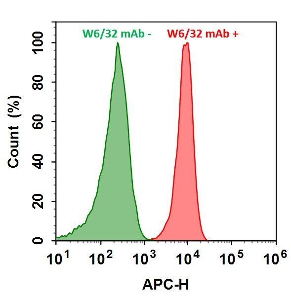 HL-60 cells were incubated with (Red, +) or without (Green, -) Anti-human HLA-ABC (W6/32 mAb), followed by iFluor® 700 goat anti-mouse IgG conjugate. The fluorescence signal was monitored using ACEA NovoCyte flow cytometer in APC channel.