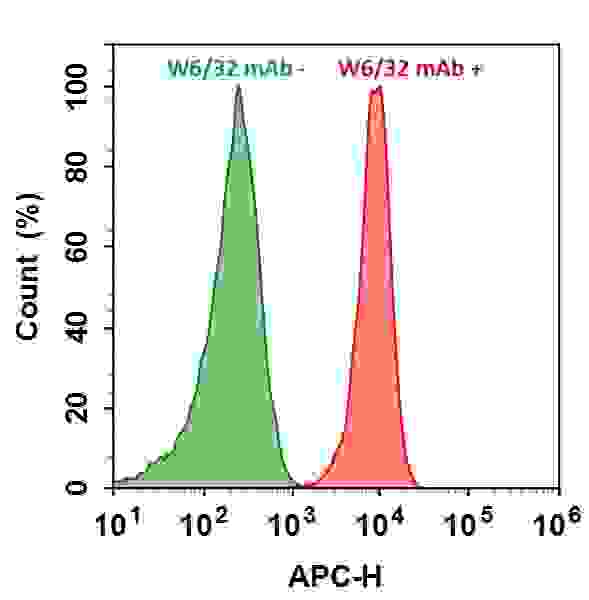 HL-60 cells were incubated with (Red, +) or without (Green, -) Anti-human HLA-ABC (W6/32 mAb), followed by iFluor™ 700 goat anti-mouse IgG conjugate. The fluorescence signal was monitored using ACEA NovoCyte flow cytometer in APC channel.