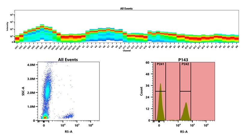 (Top) Spectral emission profiles generated using four spatially offset lasers (355 nm, 405 nm, 488 nm, and 640 nm). Each laser produced a distinct emission pattern, and their combination yielded the composite spectral signature. (Bottom) Flow cytometry analysis of whole blood stained with iFluor® 710 Anti-human CD3 Antibody *SK7*. The fluorescence signal was monitored using an Cytek Aurora flow cytometer in the specific R5-A channel.